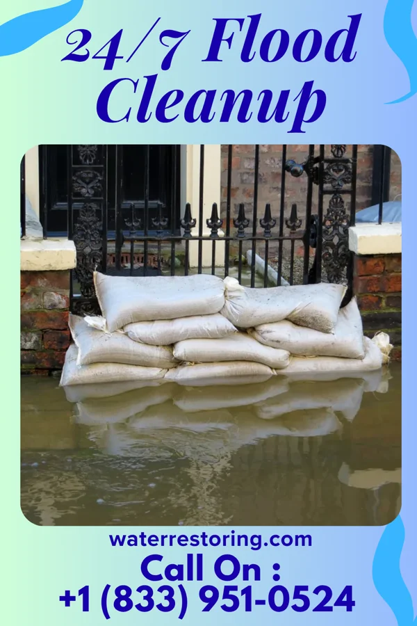 24/7 Flood Cleanup in Clarksburg, TN