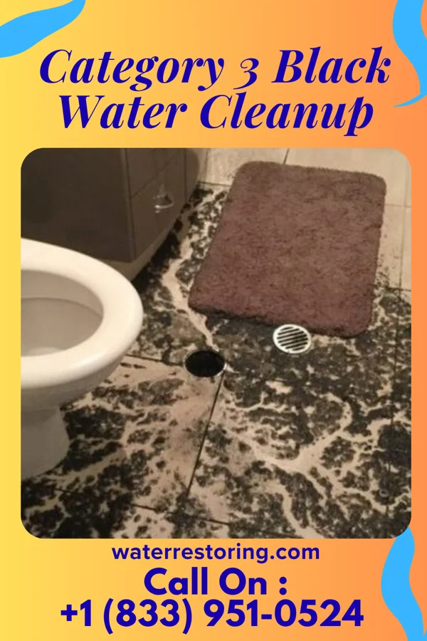 Category 3 Black Water Cleanup in Clarksburg, TN