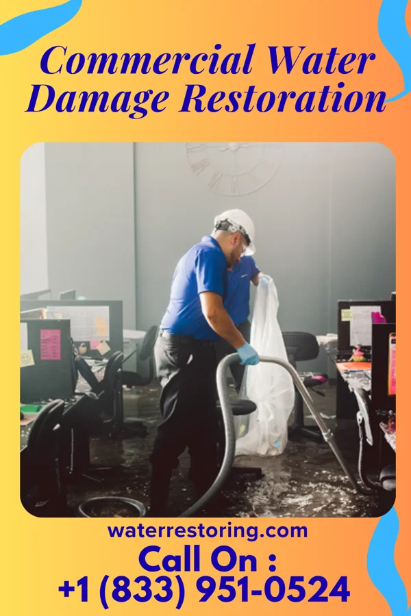 Commercial Water Damage Restoration in Clarksburg, TN