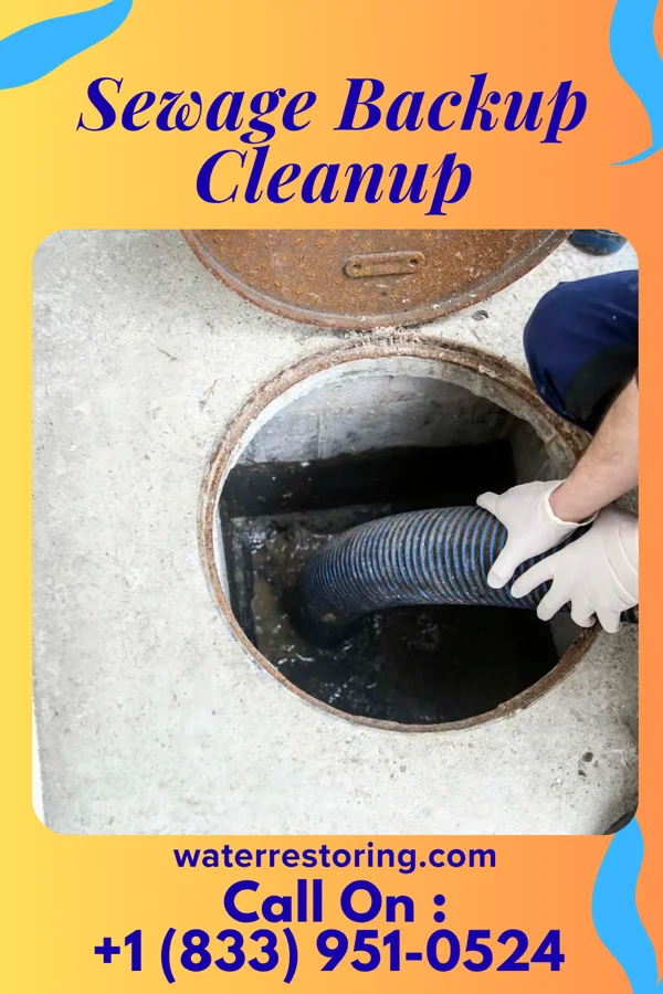 Sewage Backup Cleanup in Clarksburg, TN